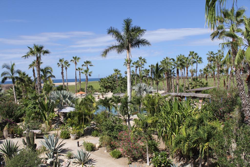 Hotel Posada La Poza Todos Santos Oda fotoğraf