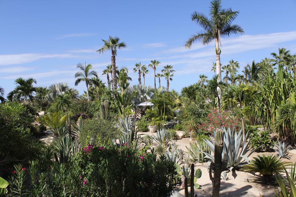 Hotel Posada La Poza Todos Santos Dış mekan fotoğraf