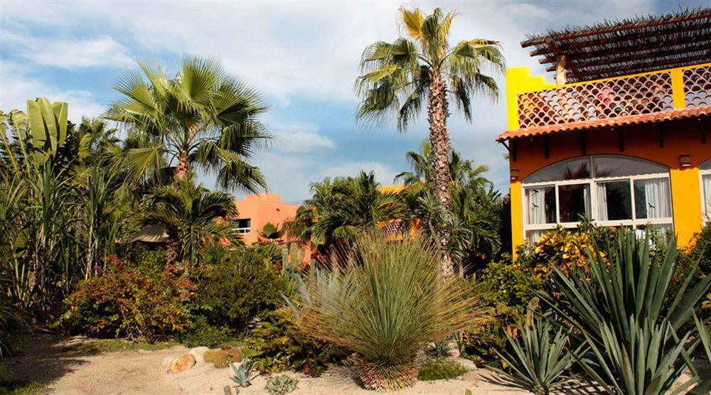 Hotel Posada La Poza Todos Santos Dış mekan fotoğraf
