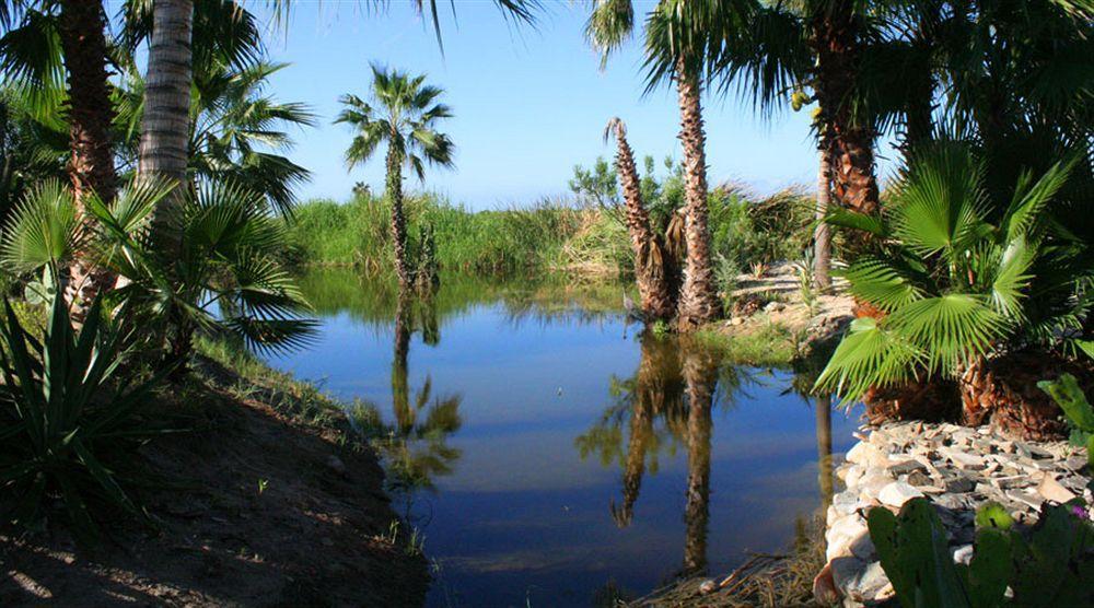 Hotel Posada La Poza Todos Santos Dış mekan fotoğraf