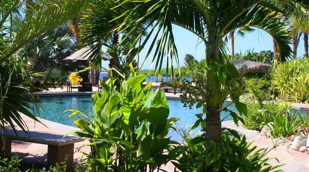 Hotel Posada La Poza Todos Santos Dış mekan fotoğraf