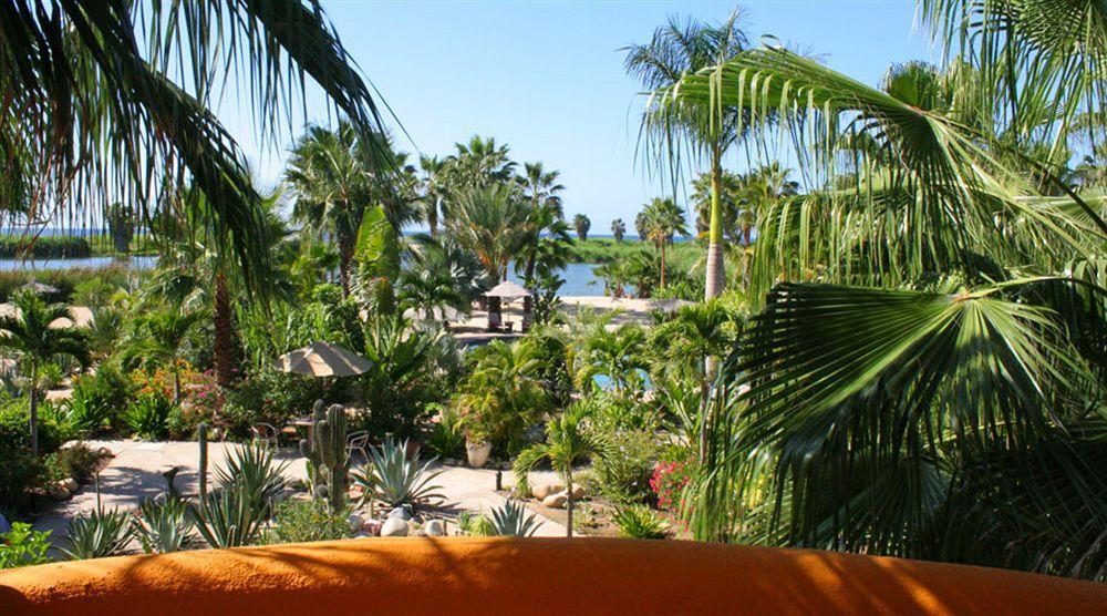 Hotel Posada La Poza Todos Santos Dış mekan fotoğraf