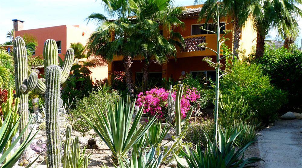Hotel Posada La Poza Todos Santos Dış mekan fotoğraf
